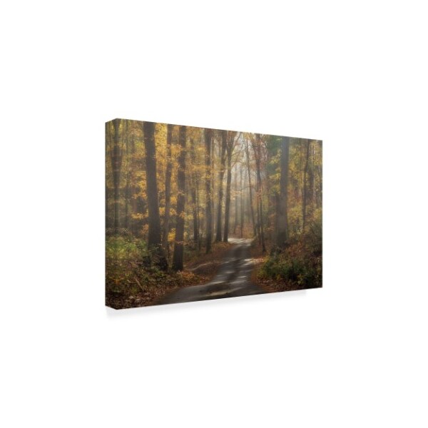 Galloimages Online 'Foggy Forest Path' Canvas Art,16x24